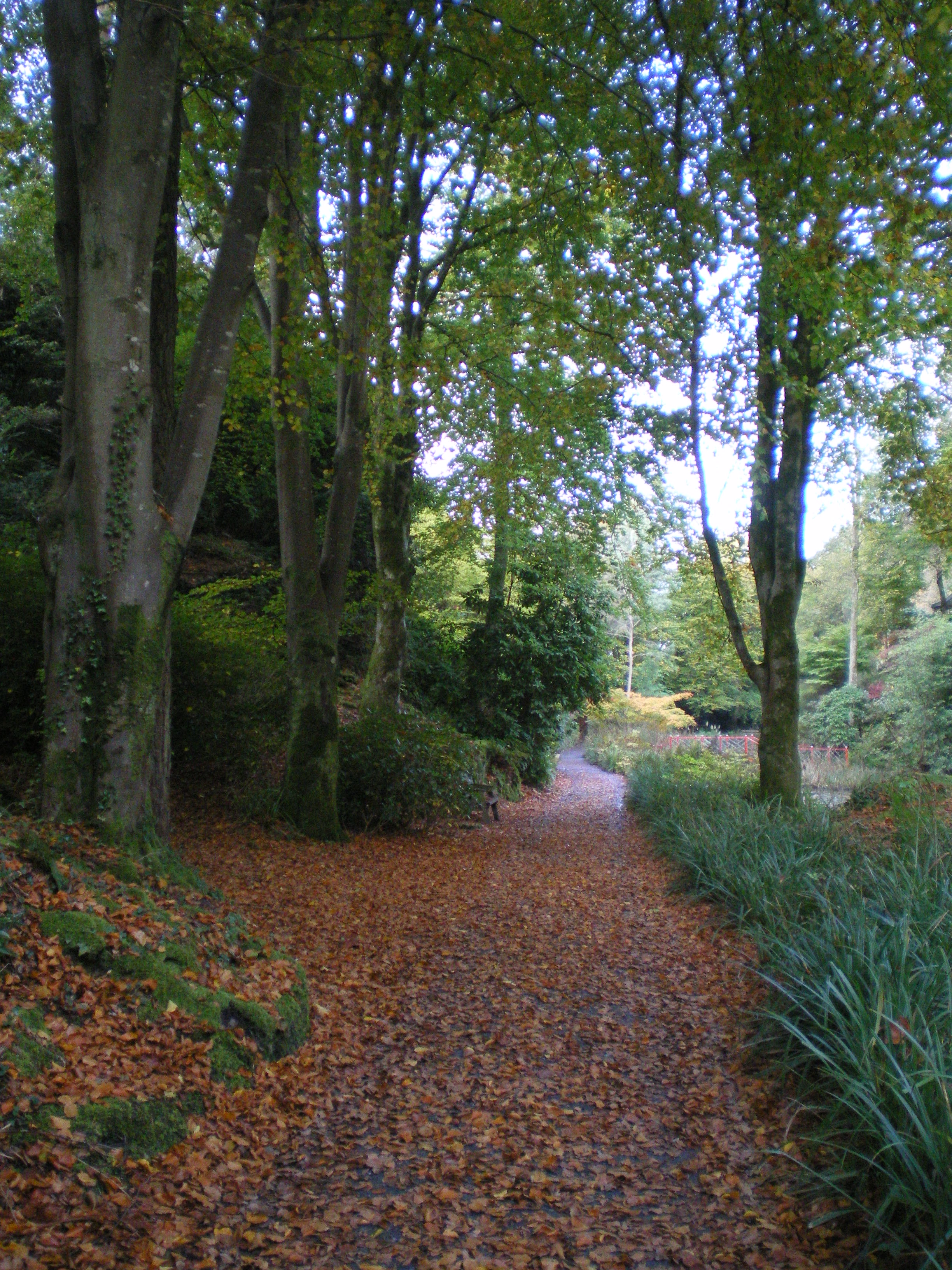 Autumn 2009
